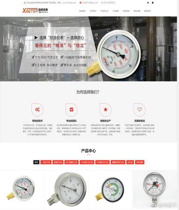 压力表生产厂家官方网站案例