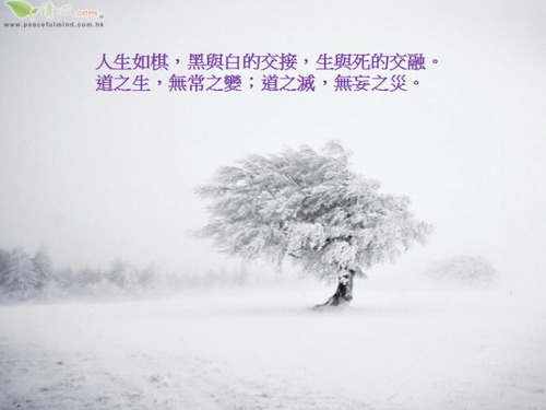 人生如棋 落子無悔 面對選擇 莫忘初衷 真圓身心靈成長中心