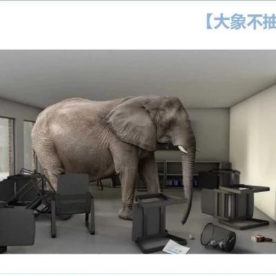 【大象不抽象】系列文章综览 【大象不抽象】系列文章综览