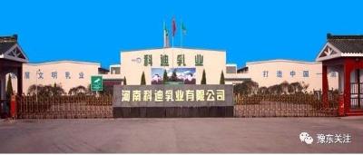 河南:科迪乳业被立案调查,百余员工堵门讨薪……