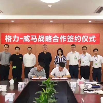 格力威马战略合作 涉及出行与家居智能领域 格力威马战略合作 涉及出行与家居智能领域