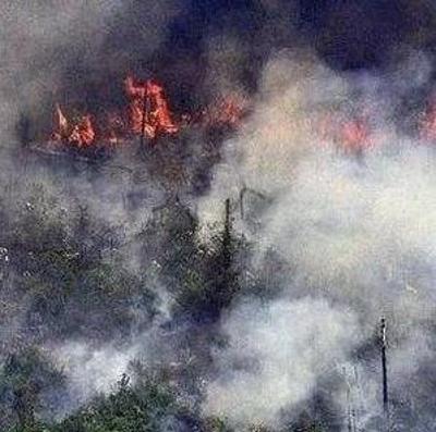 终于行动了!巴西4万军人赴亚马逊灭火