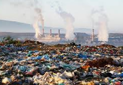 ¿Política medioambiental? ¿donde?
