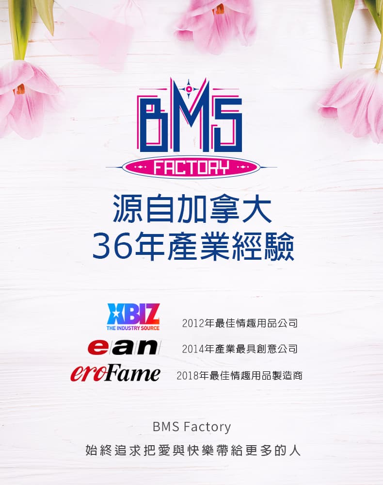 潘美爾 palmpower pocker 迷你av女優高潮棒 1 BMS 一部分得獎歷史