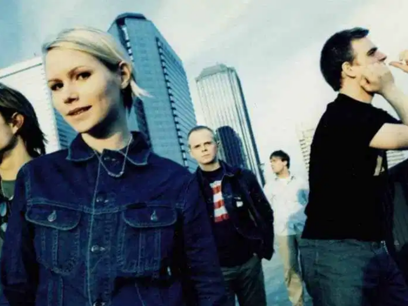 The cardigans