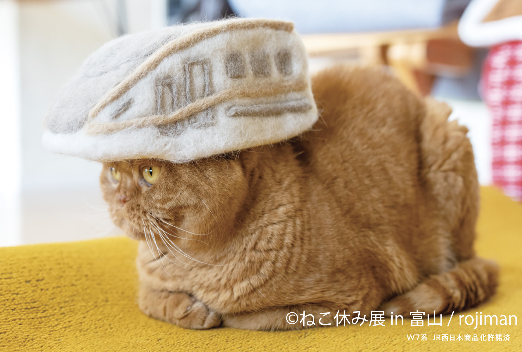 貓咪休假展in 富山」將在北陸初上陸! 毛茸茸猫咪們的療癒作品有300件 