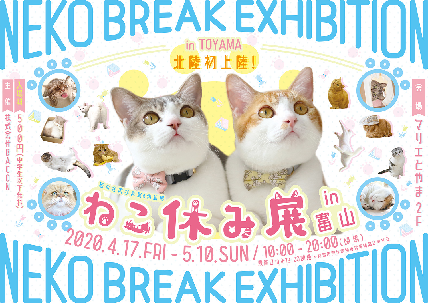 貓咪休假展in 富山」將在北陸初上陸! 毛茸茸猫咪們的療癒作品有300件 
