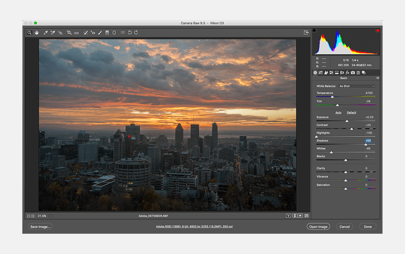 Adobe CameraRaw