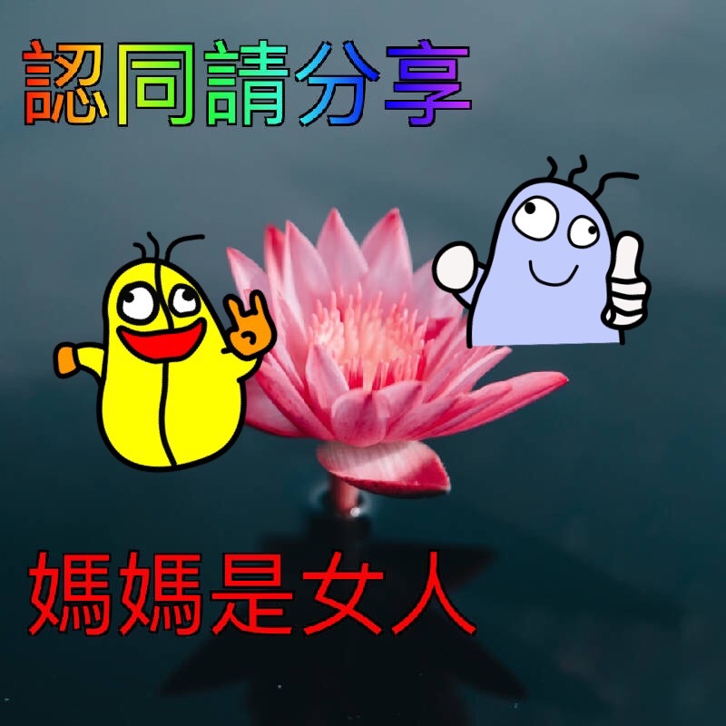 https://upload.cc/i1/2020/08/20/qrOWdu.png