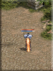 暗界天堂私服論壇 - (一階)變身能力