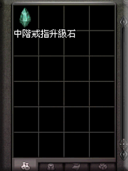 暗界天堂私服論壇 - 戒指升級石