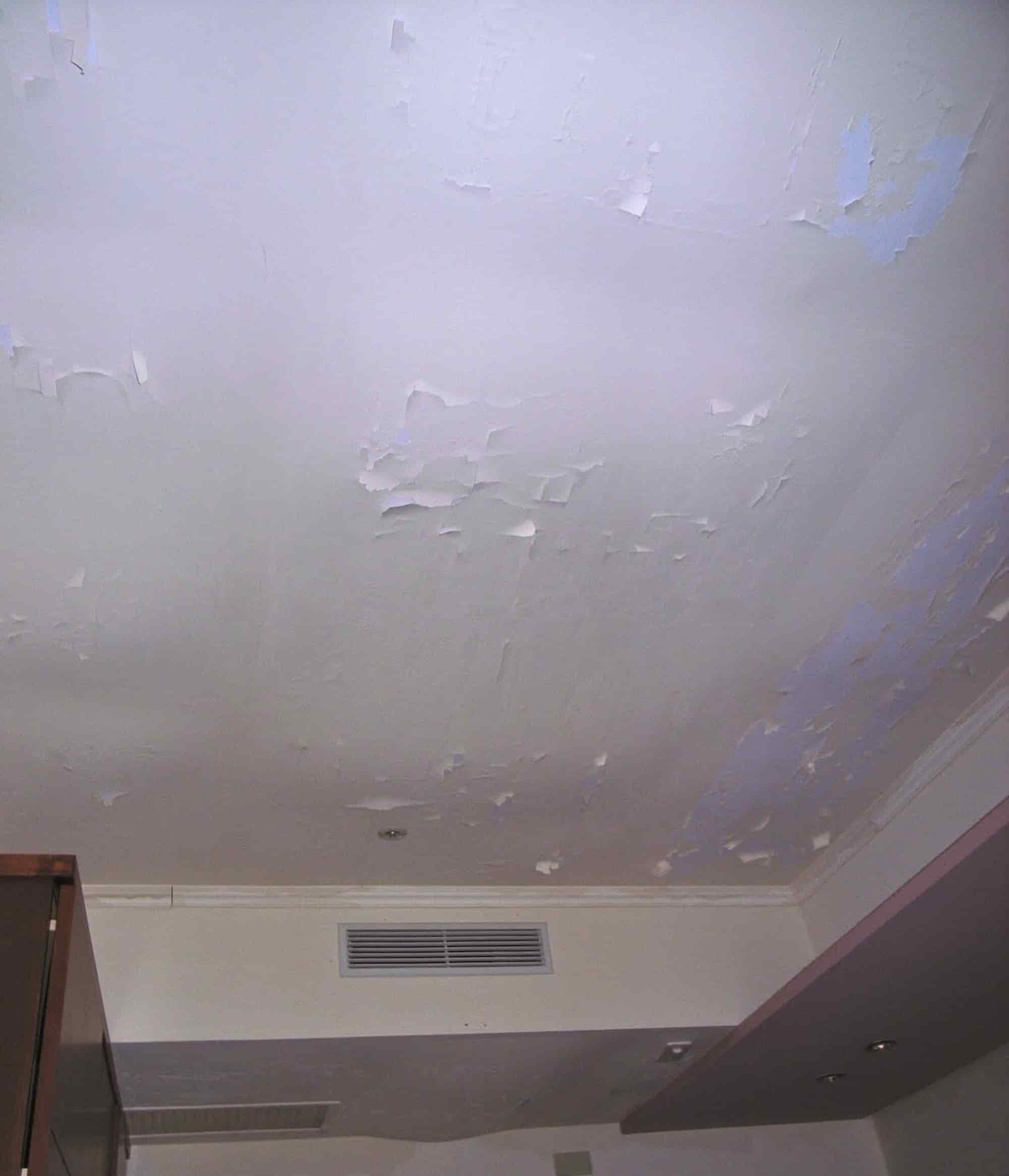 氧化鎂板因為吸收到水氣，導致油漆剝落