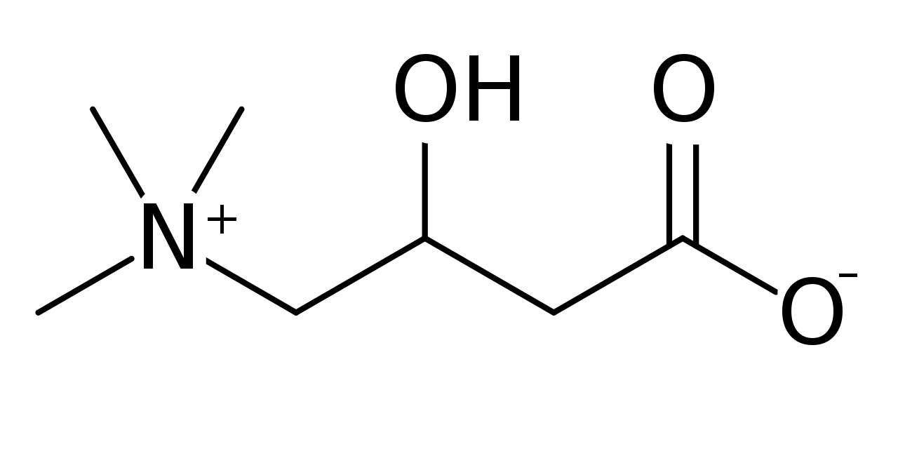 l carnitine 怎麼 吃 左旋卡尼丁(L-Carnitine)實際功效？可燃脂瘦身？素食者可吃？讓專業的告訴你！
