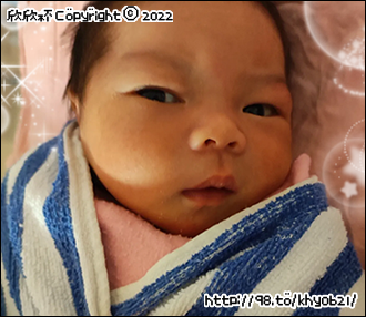 Hailey Born*