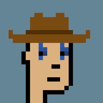 punkcountry.eth Ethereum Name Service (ENS and .eth domain) PFP