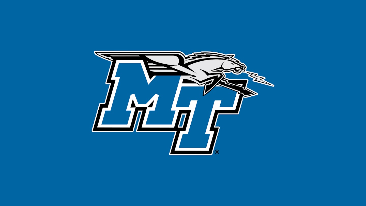 blueraiders.eth Ethereum Name Service (ENS and .eth domain) PFP