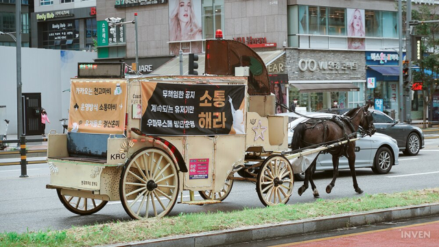 [閒聊] 韓國賽馬娘粉絲 租馬車抗議代理商