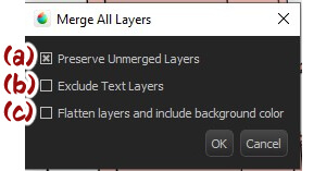 Merge all layers notification box