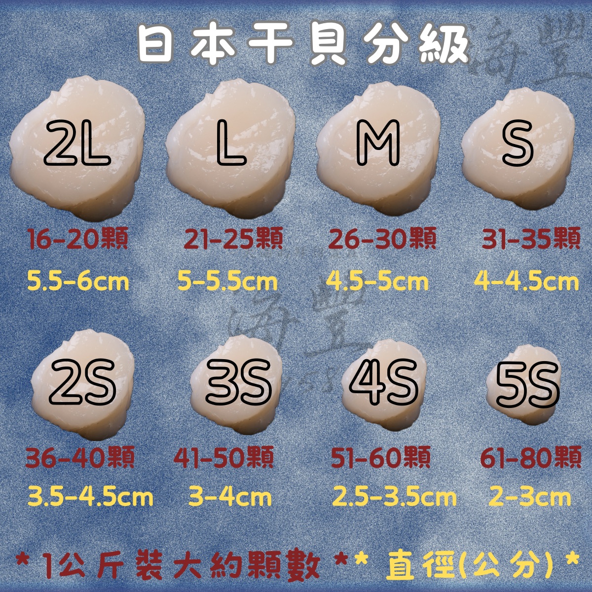 干貝