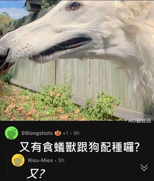 https://upload.cc/i1/2026/06/10/5q8DTt.jpg