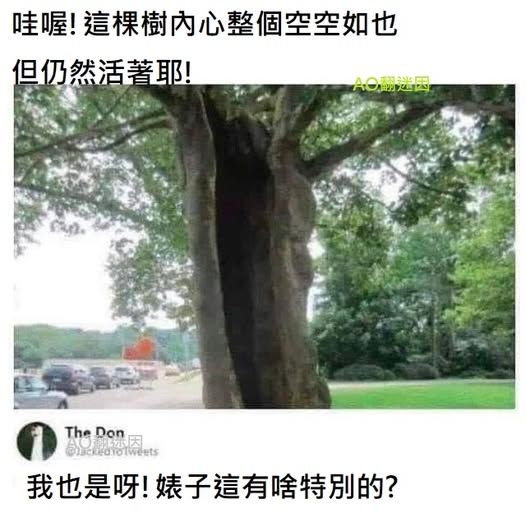 https://upload.cc/i1/2026/06/11/gJowKW.jpg