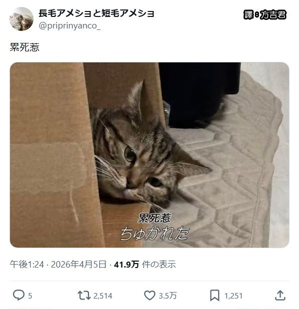 https://upload.cc/i1/2026/06/11/t7GA45.jpg