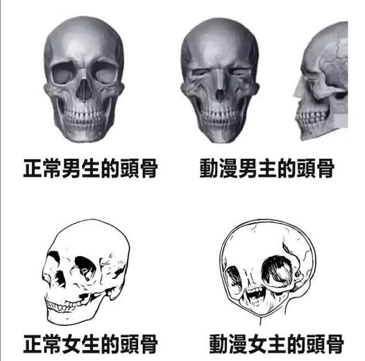 https://upload.cc/i1/2026/06/12/FB75Cy.jpg