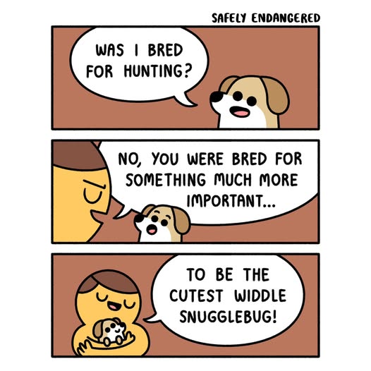 https://upload.cc/i1/2026/06/12/hvGjHZ.jpg