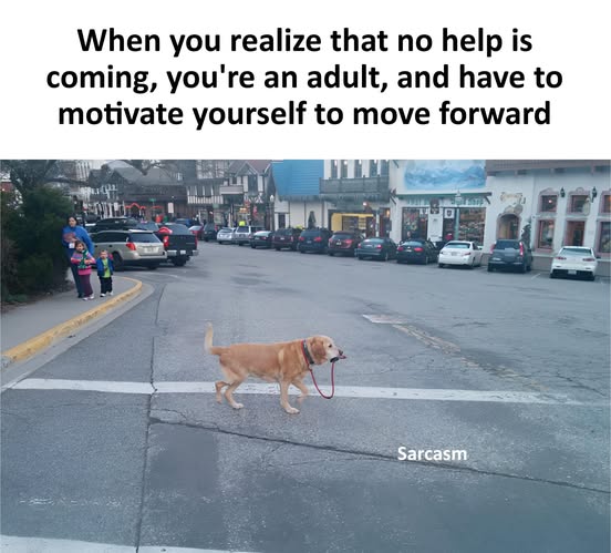 https://upload.cc/i1/2026/06/13/hPn3J4.jpg
