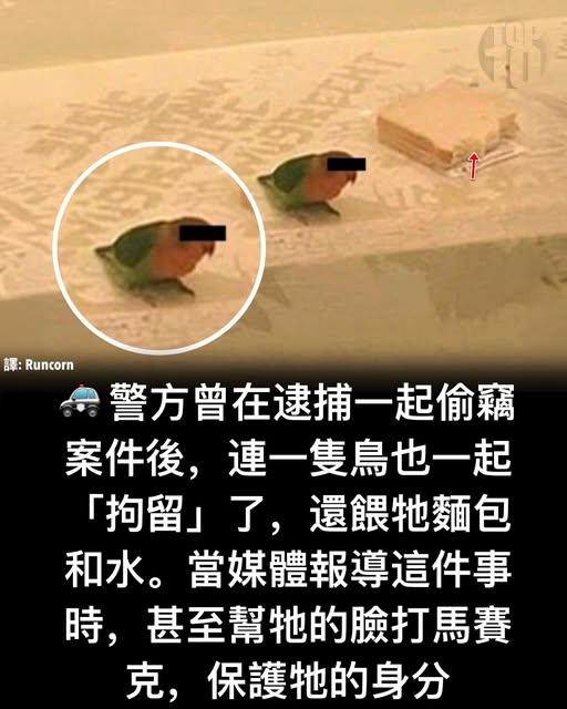 https://upload.cc/i1/2026/06/13/sXp8d5.jpg