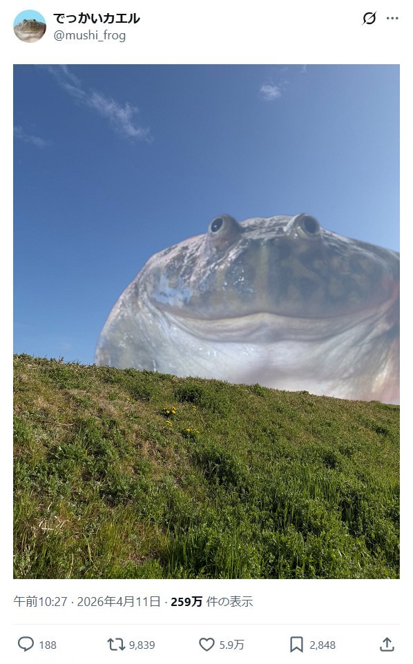 https://upload.cc/i1/2026/06/13/zlIUms.jpg