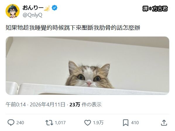 https://upload.cc/i1/2026/06/14/6OGy9Q.jpg