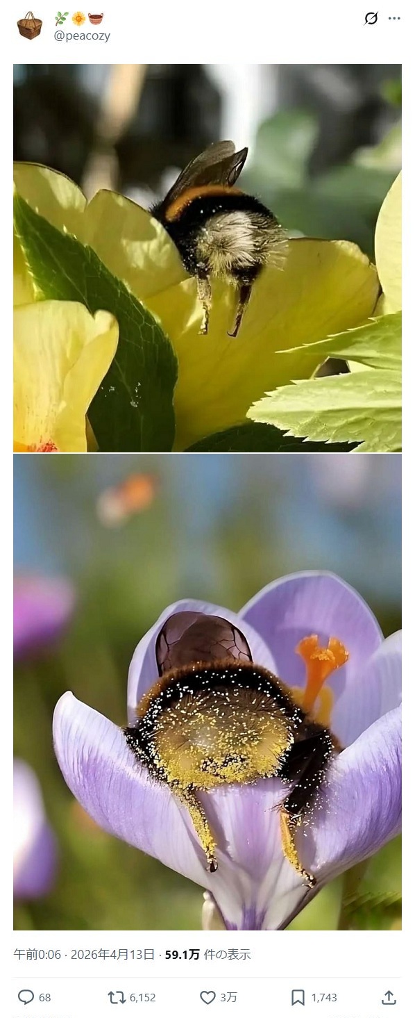 https://upload.cc/i1/2026/06/14/dgIaDB.jpg