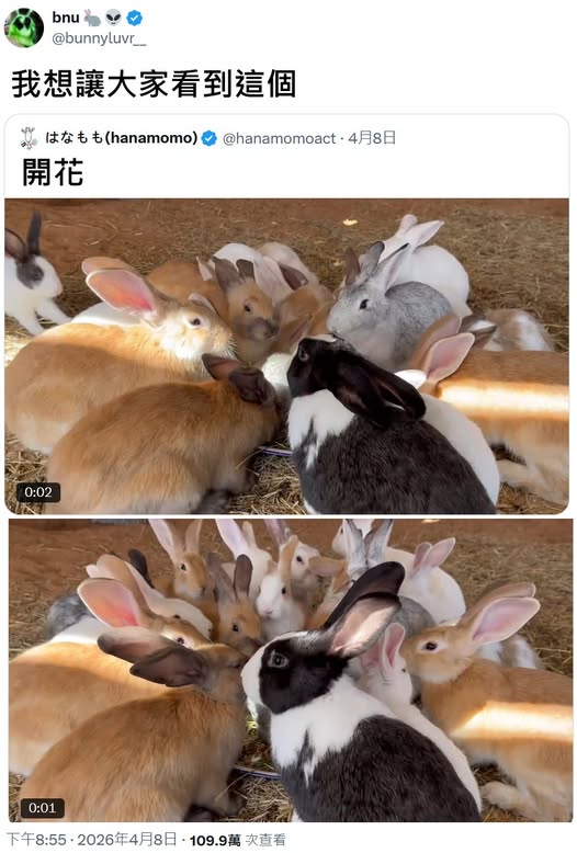 https://upload.cc/i1/2026/06/15/1tN4QZ.jpg