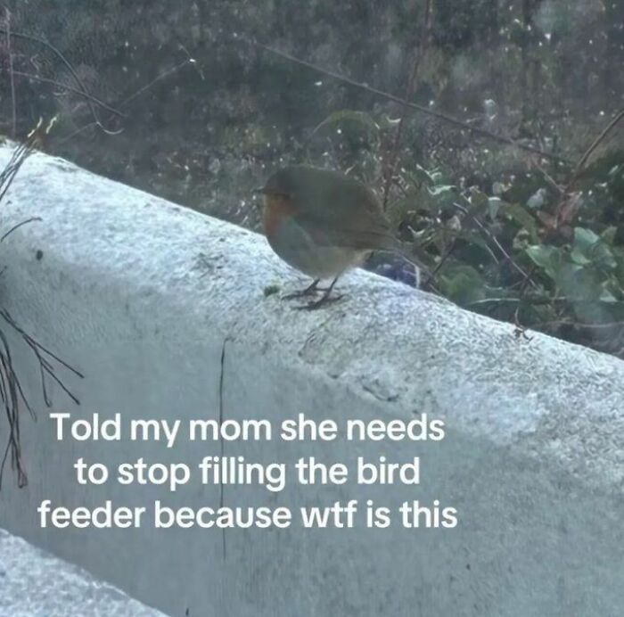 https://upload.cc/i1/2026/06/15/7YESiz.jpg
