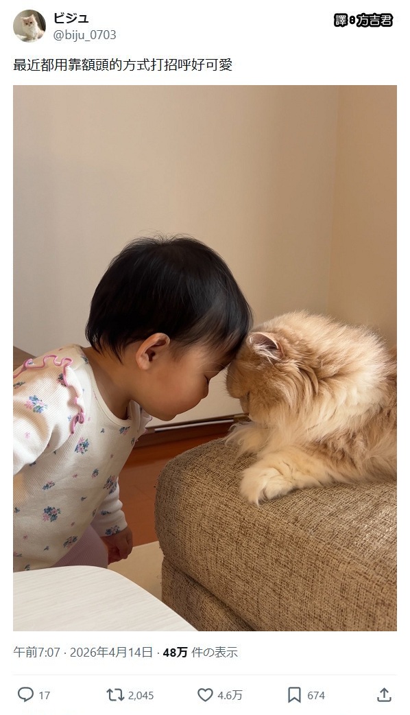 https://upload.cc/i1/2026/06/15/R0xwqd.jpg