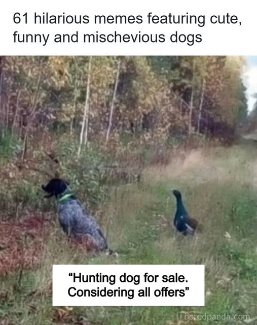 https://upload.cc/i1/2026/06/17/yxJDqN.jpg