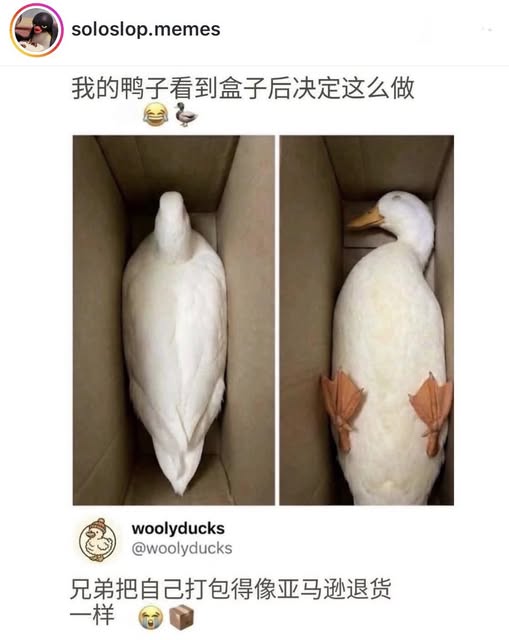 https://upload.cc/i1/2026/06/19/YyQqL4.jpg