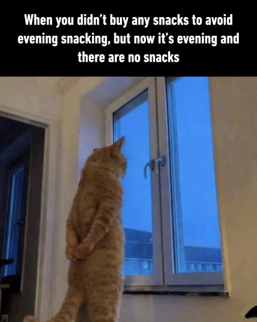 https://upload.cc/i1/2026/06/20/4G2Nkf.jpg