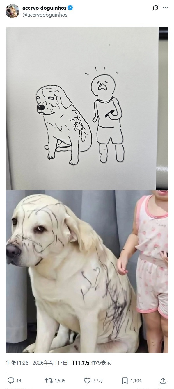 https://upload.cc/i1/2026/06/20/yjd1Aq.jpg
