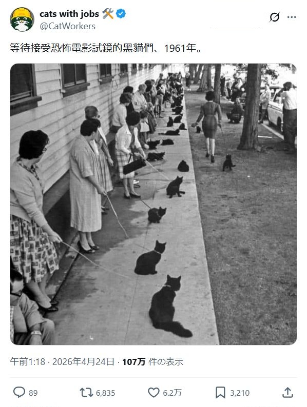 https://upload.cc/i1/2026/06/21/3FKgzf.jpg