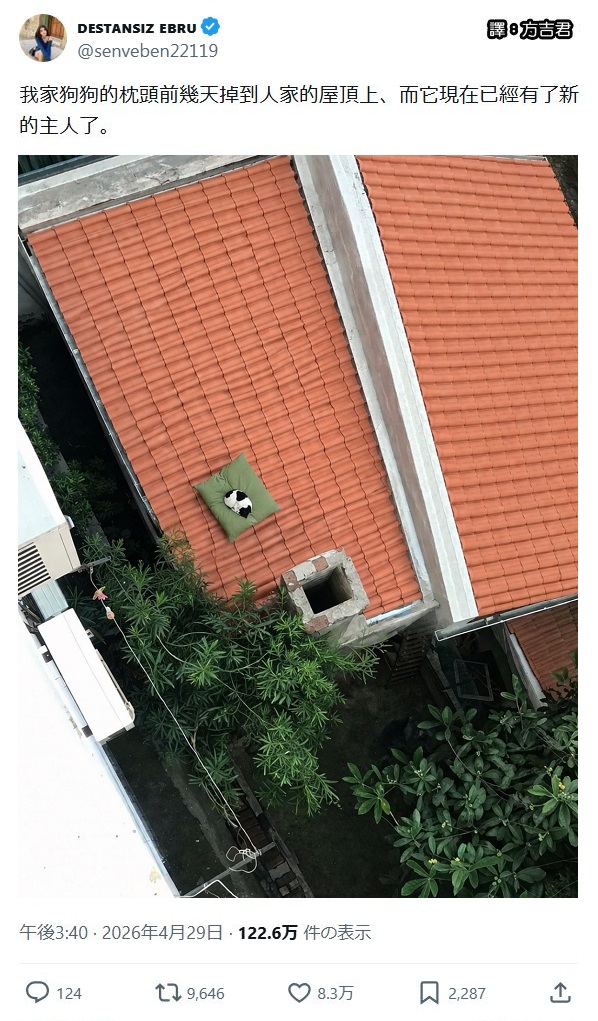https://upload.cc/i1/2026/06/22/ak0tVj.jpg