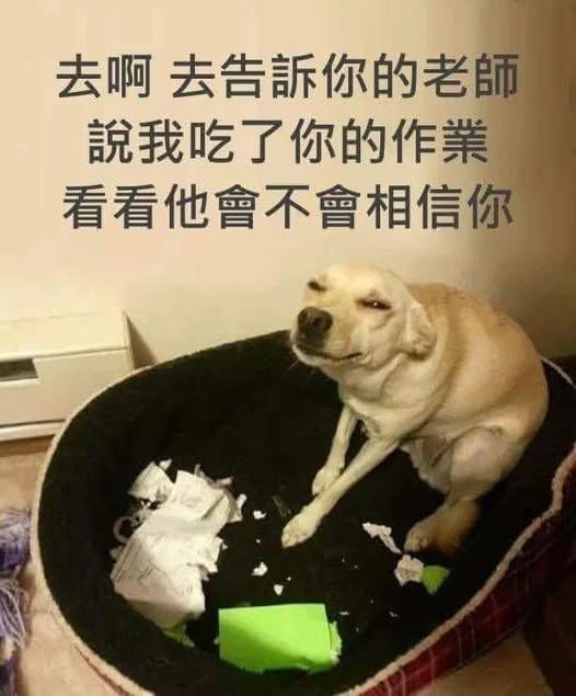 https://upload.cc/i1/2026/06/23/VTk3pF.jpg