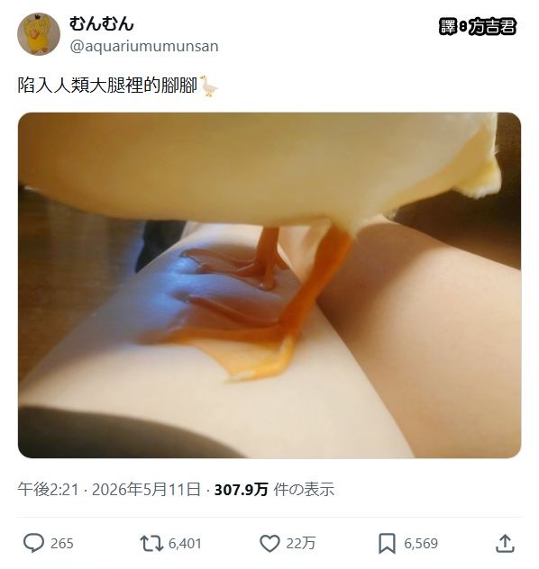 https://upload.cc/i1/2026/07/20/87J5RX.jpg