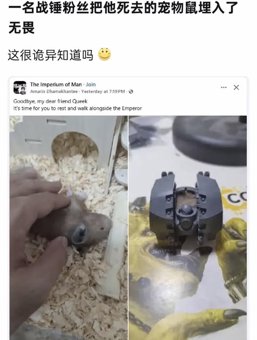 https://upload.cc/i1/2026/07/20/GsjXF3.jpg