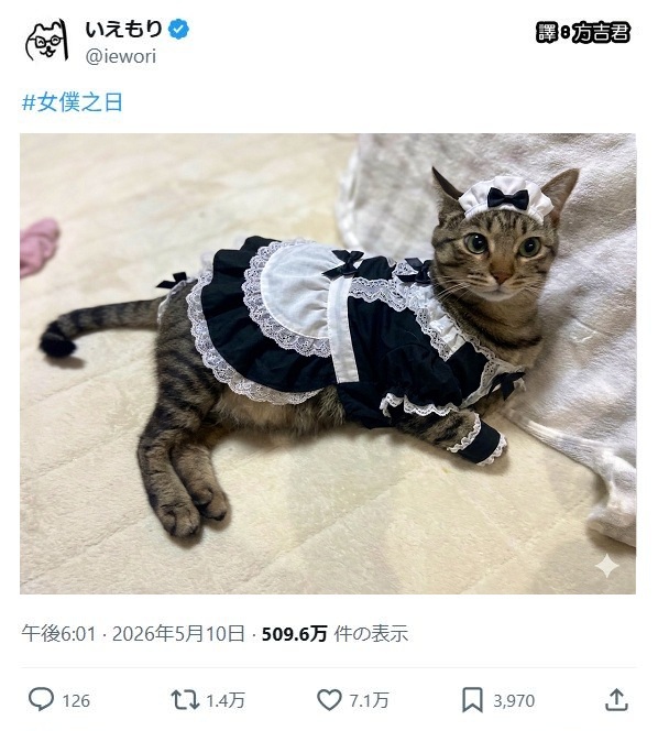 https://upload.cc/i1/2026/07/20/NmjkLv.jpg