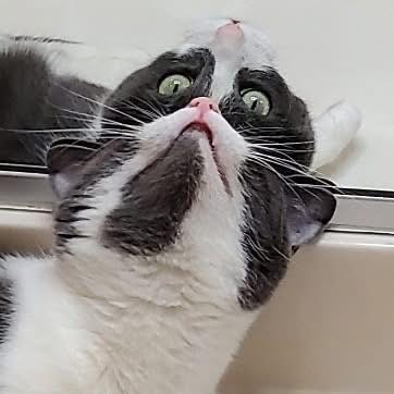 https://upload.cc/i1/2026/07/20/SOIKGt.jpg