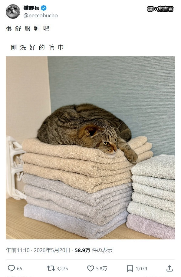 https://upload.cc/i1/2026/07/22/DuaeTA.jpg